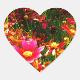 Heldere roze en gele Daisy Wilde bloemen Hart Sticker