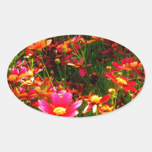 Heldere roze en gele Daisy Wilde bloemen Ovale Sticker