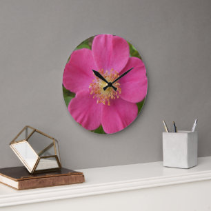 Heldere Roze Roze Wandklok Grote Klok