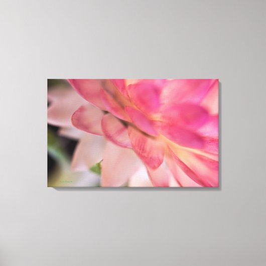 Heldere roze strobloem canvas afdruk (Voorkant)