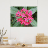 Heldere roze tropische bloemen poster (Keuken)