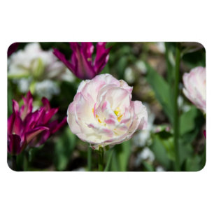 Heldere roze tulpen op een zonnige dag magneet