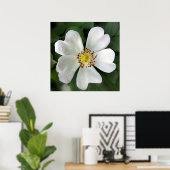 heldere witte bloem poster (Thuiskantoor)