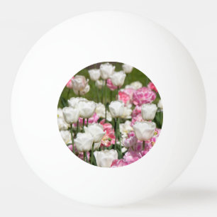 Heldere witte en roze tulpen op een zonnige dag pingpongballen