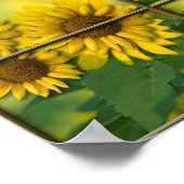 Heldere zondag poster (Hoek)