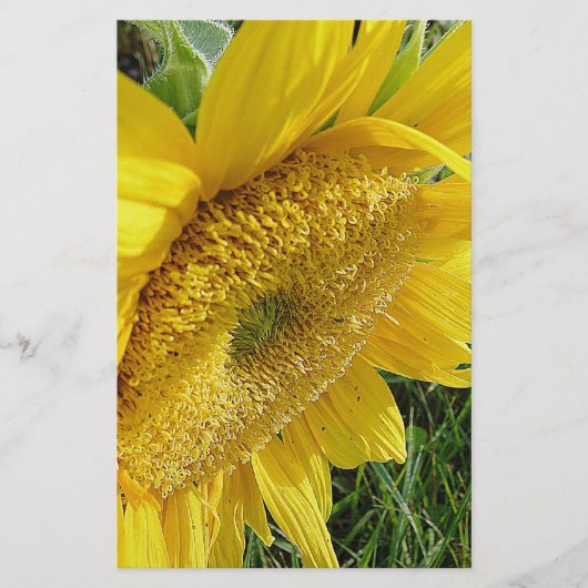 Heldere zonnebloem briefpapier (Voorkant)
