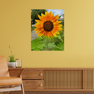 Heldere zonnebloem poster