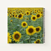 Heldere zonnebloemen Alleen goede steekproeven Notitieboek (Achterkant)