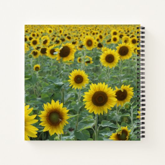 Heldere zonnebloemen Alleen goede steekproeven Notitieboek (Achterkant)