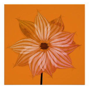 Helderend Herfst ventilator Poster Perfect Poster