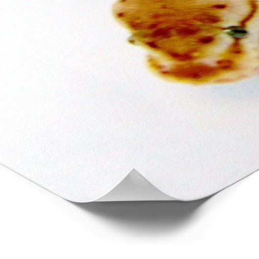 Heldergele doorbraakpython poster (Hoek)