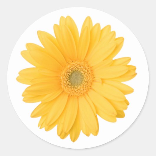 Heldergele Gerbera Daisy Flower Ronde Sticker (Voorkant)