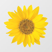 Heldergele zonnebloem raamsticker (Vel)