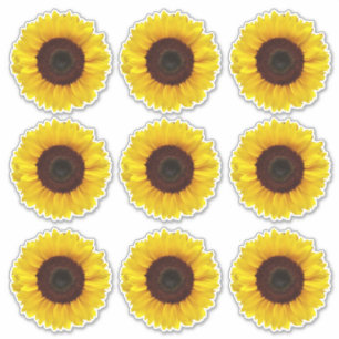 Heldergele zonnebloemen Kus-Cut-vinylstickers Sticker