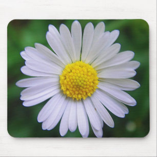 Heldergelige maisie muismat