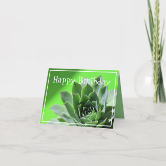 Heldergroen sempervivum succulent plant kaart