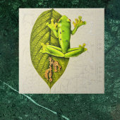 Heldergroene kikker van de glijboom op wit tegeltje