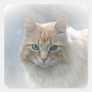 Helderheid AH2010 Vierkante Sticker