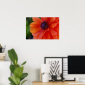 Helderheid Oranje papaver Poster (Thuiskantoor)