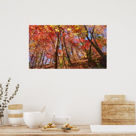 Helderkleurige herfstbladeren in het Poster van he (Keuken)