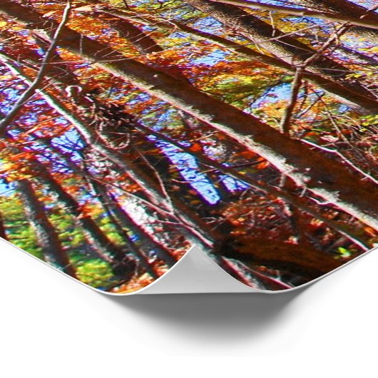 Helderkleurige herfstbladeren in het Poster van he (Hoek)