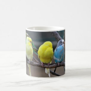 Helderkleurige parakeets Budgies Parrots Birds Koffiemok