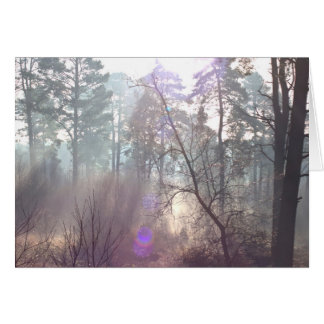 Helderochtendzonlicht door een mist blanco kaart