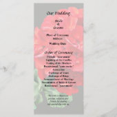 Helderrode Geranium Programma (Voorkant)