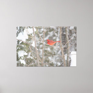 Helderrode kardinaal canvas afdruk
