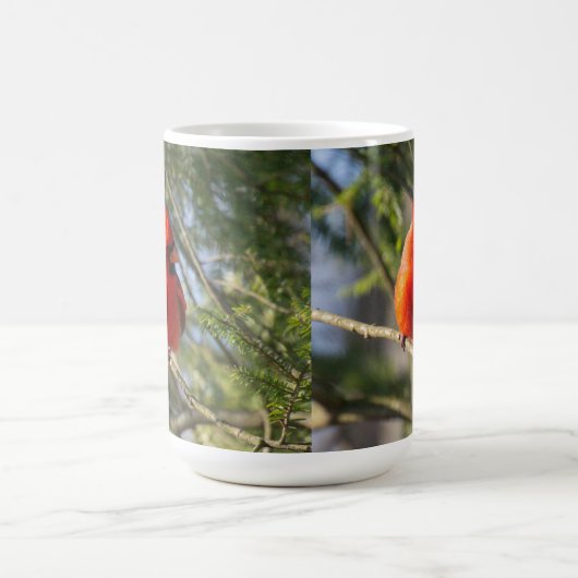 Helderrode kardinaal koffiemok (Center)