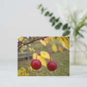 Helderrode krab Apples Postage Kaart (Staand voorkant)