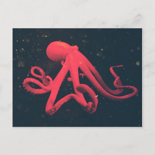 Helderrode octopus briefkaart (Voorkant)