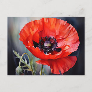 Helderrode papaver met donker centrum briefkaart