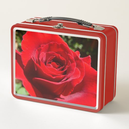 Helderrode rode rozenbloem mooie Floral (Voorkant)