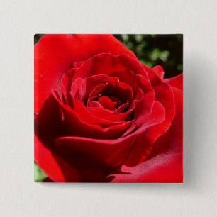 Helderrode rode rozenbloem mooie Floral Vierkante Button 5,1 Cm