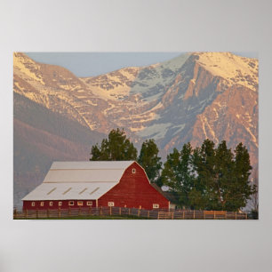 Helderrode schuur tegen Mission Mountains in Poster