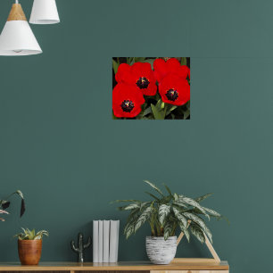 Helderrode tulpen bloem fotografisch poster