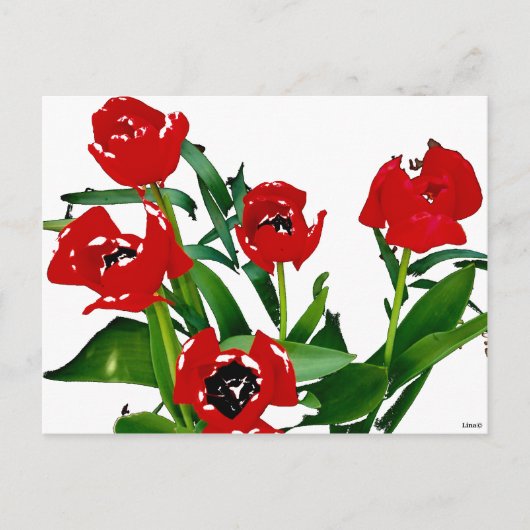 Helderrode tulpen briefkaart (Voorkant)