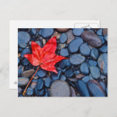 Helderrood Herfst Leaf Briefkaart (Voorkant / Achterkant)