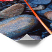 Helderrood Herfst Leaf Poster (Hoek)