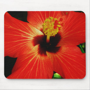 Helderrood Oranje Hibiscus Flower Muismat