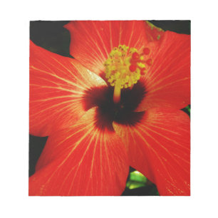 Helderrood Oranje Hibiscus Flower Notitieblok