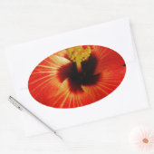 Helderrood Oranje Hibiscus Flower Ovale Sticker (Envelop)