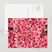 Helderroze bloemen briefkaart (Voorkant / Achterkant)