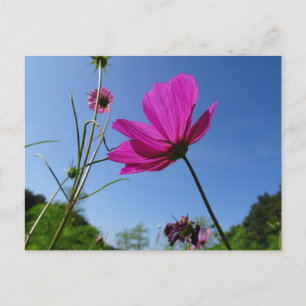 Helderroze cosmetische producten, Blue Sky DIY Bri Briefkaart