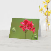 Helderroze Geranium Bloem Foto Blank Kaart (Gele Bloem)