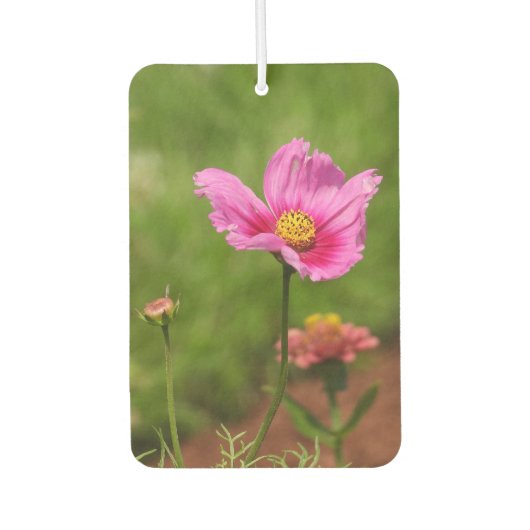 Helderroze kosmos ventilator op groen luchtverfrisser (Voorkant)