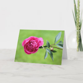 Helderroze pony bedankkaart