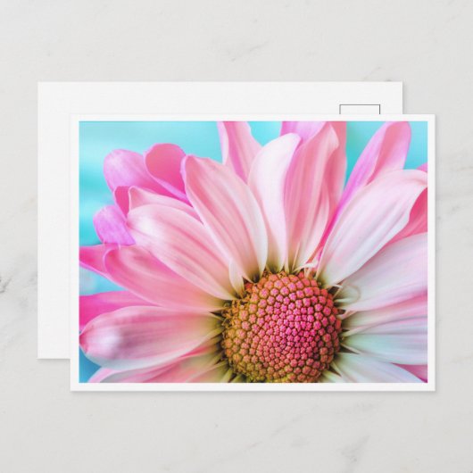 Heldervlakte Briefkaart (Voorkant / Achterkant)