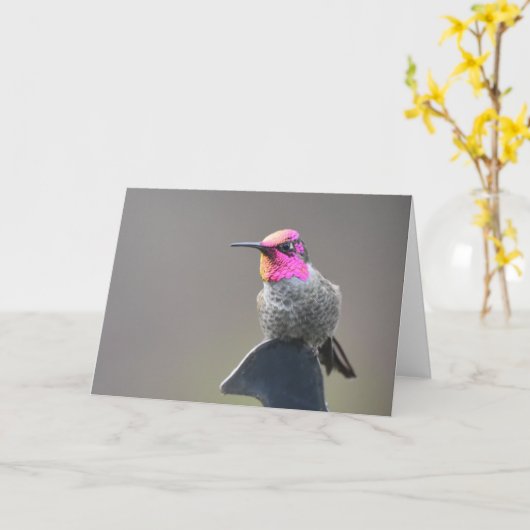 Heldervogel - Frameable Art Kaart (Gele Bloem)